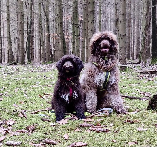 photo_2021-08-18 09.28.24